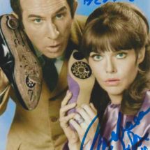 Barbara Feldon Autograph