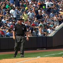 Yankee Stadium Questioning the Call