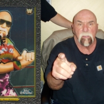 Superstar-Billy-Graham-Collage